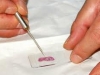 histologie-1